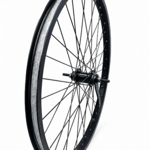 26 x 2.125 ALLOY WHEEL COASTER BK/BK SPOKES