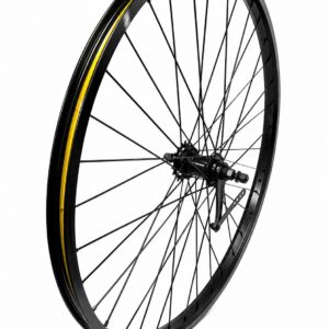 29 x 2.125 ALLOY COASTER WHEEL HD SPOKES BK