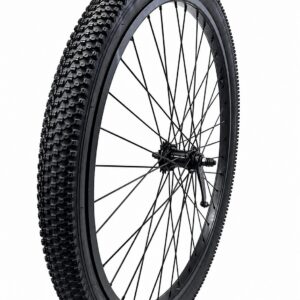 29 x 2.125 ALLOY WHEEL COASTER BK/WIDE TIRE