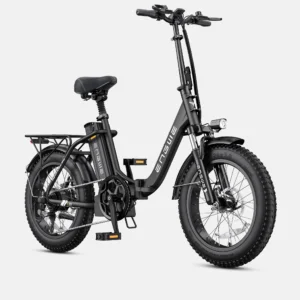 Electric Bicycles