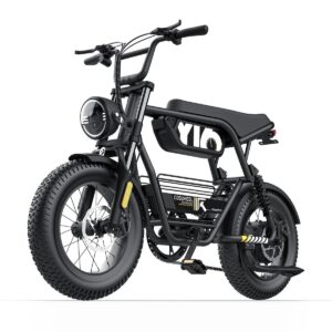 16" E-Bike, "Y16" Fat Tire, 750W 48V, 15Ah