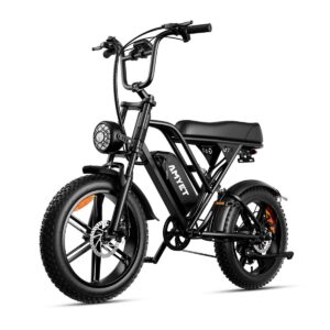 20" E-bike G60 750W 48V20AH Black