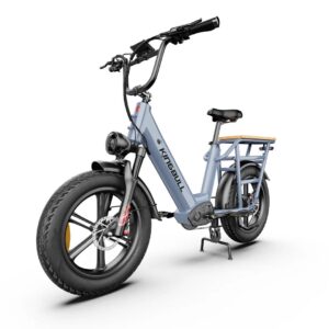20" HEAVY DUTY E-Bike, Cargo Voyager 48V 15Ah