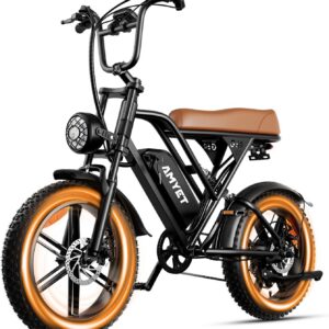 20" E-bike G60 750W 48V20AH BROWN