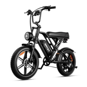 Electric Bicycles